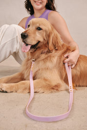 Ollie Walkies Classic - Collar and Leash Set - Lilac