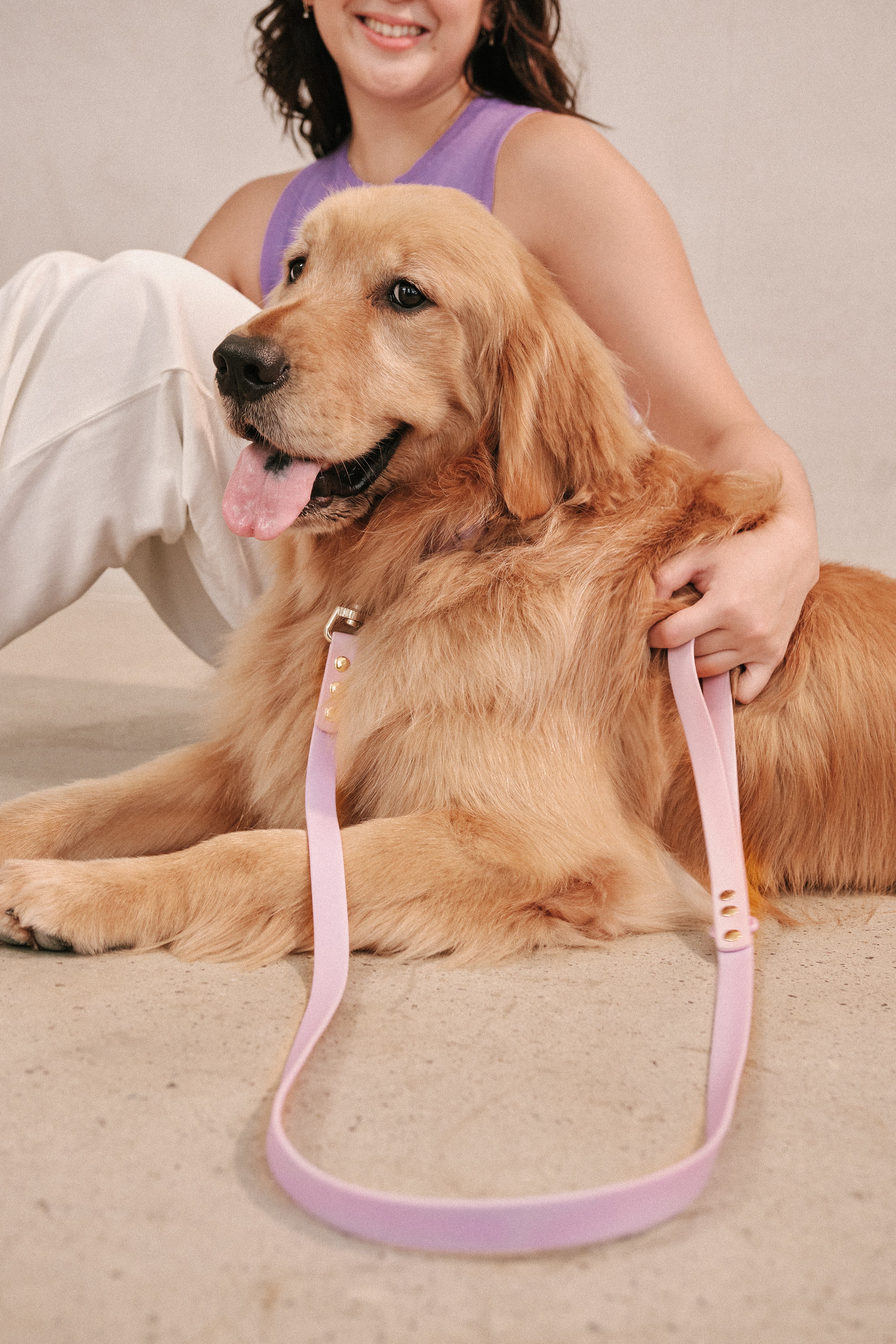 Ollie Walkies Classic - Collar and Leash Set - Lilac