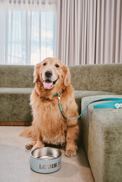 Ollie Walkies Classic - Collar and Leash Set - Aqua
