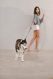 Ollie Walkies Classic - Collar and Leash Set - Navy