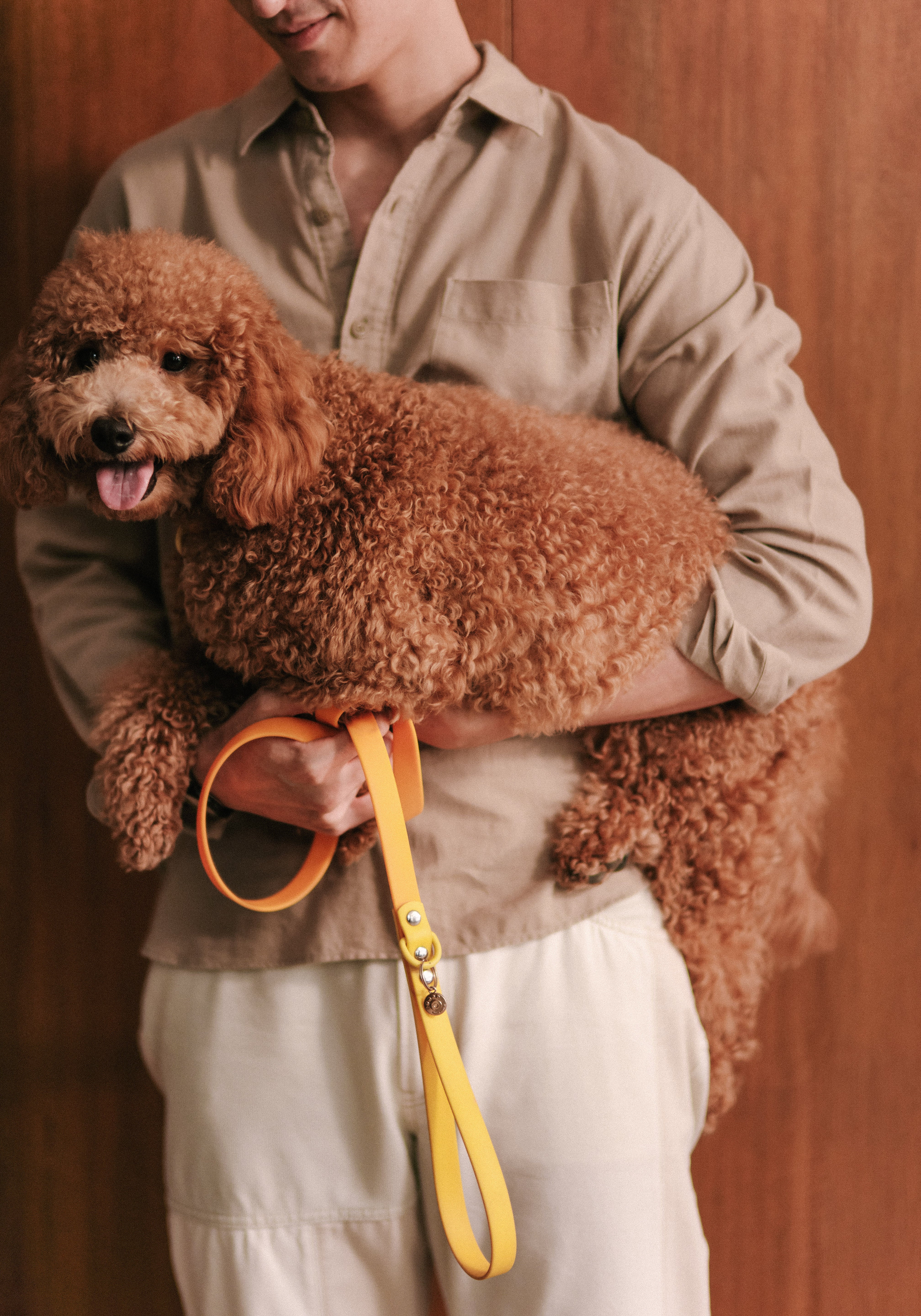 Ollie Walkies Classic - Collar and Leash Set - Lemonade