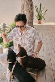 Ollie Walkies Classic - Collar and Leash Set - Cinnamon