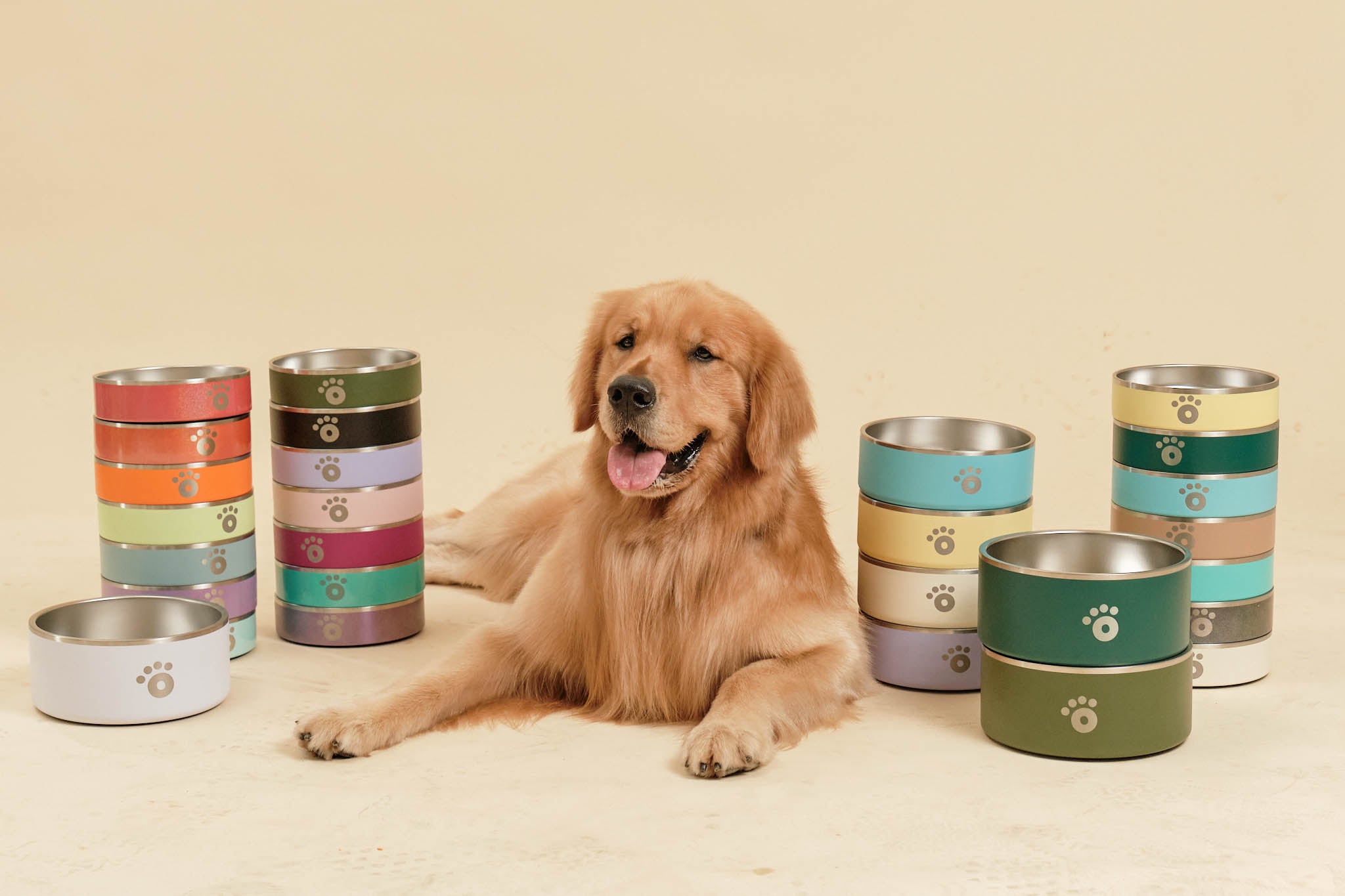 Ollie_Bowls_with_dogs0166.jpg