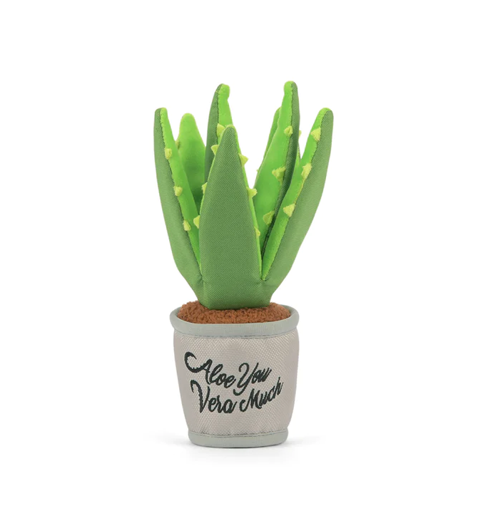 Aloe-ve You Plant