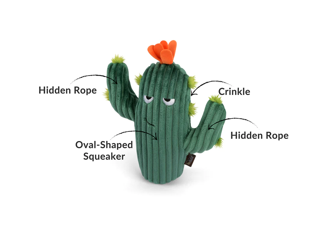 Blooming Buddies Toy Set