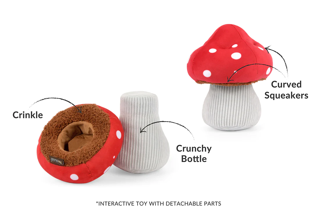 Blooming Buddies Toy Set