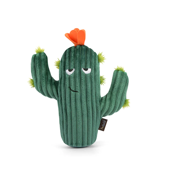 Prickly Pup Cactus