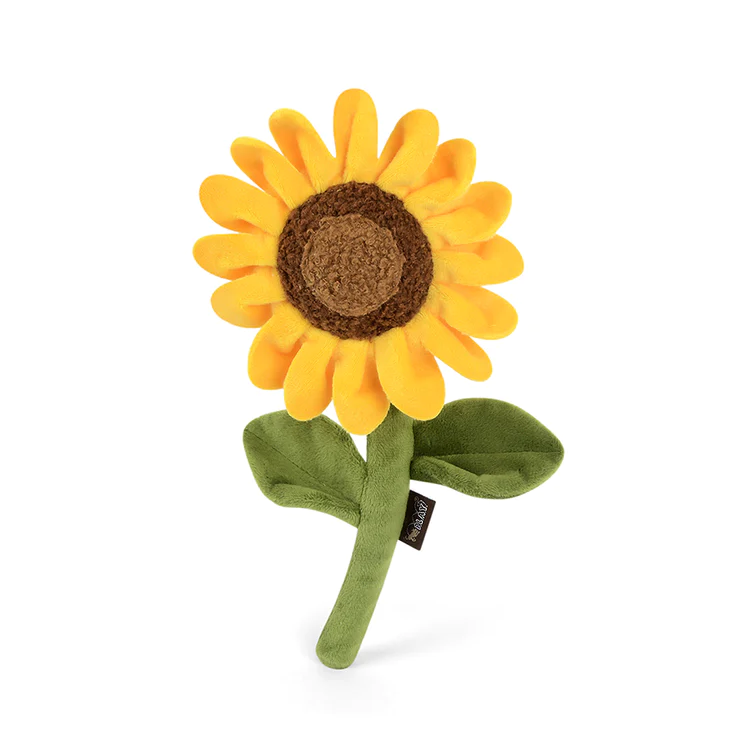 Sassy Sunflower