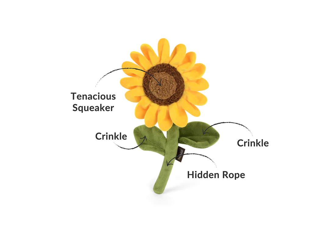 Sassy Sunflower