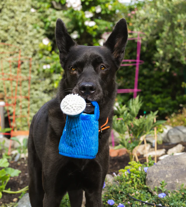 Wagging Watering Can