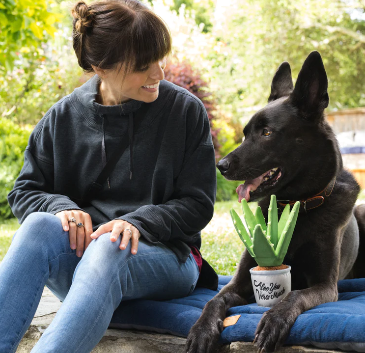 Aloe-ve You Plant