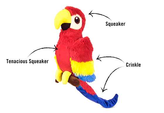 Paula the Parrot