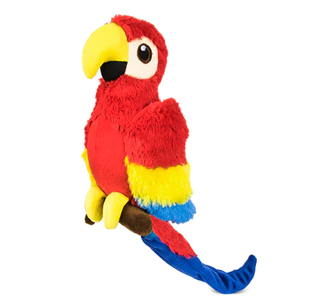 Paula the Parrot