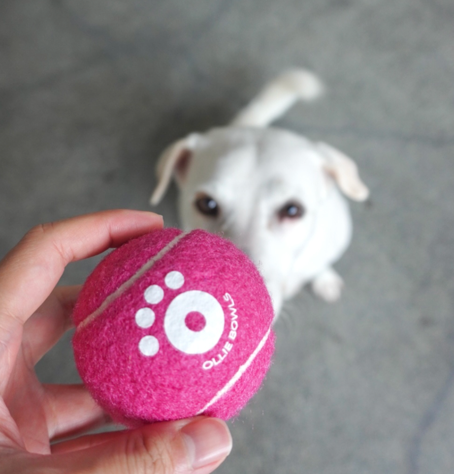 Ollie Balls