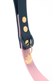 Ollie Walkies Classic - Collar and Leash Set - Otto's Purple