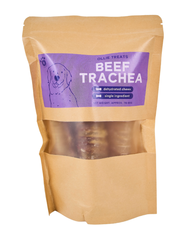 Ollie Treats: Trachea