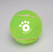 Ollie Balls!