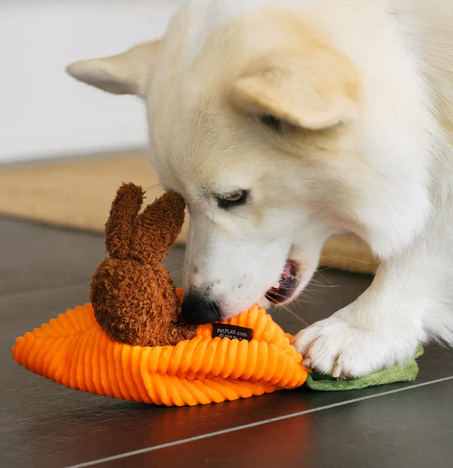 Funny Bunnies