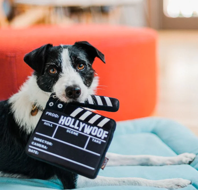 Doggy Director Board