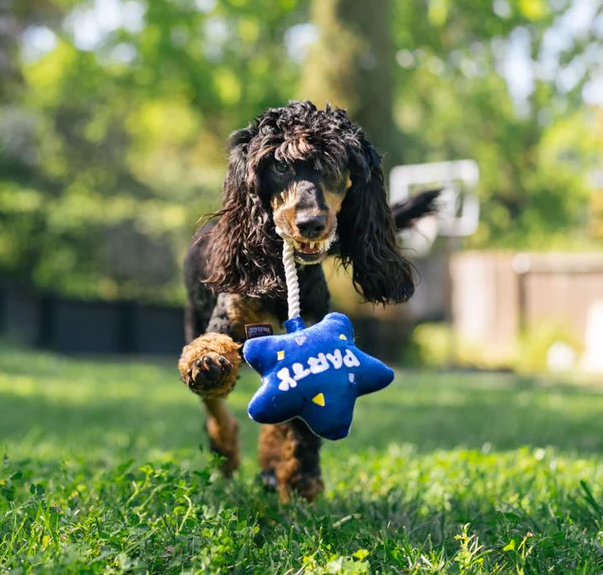 Best Day Ever Balloon - Mini