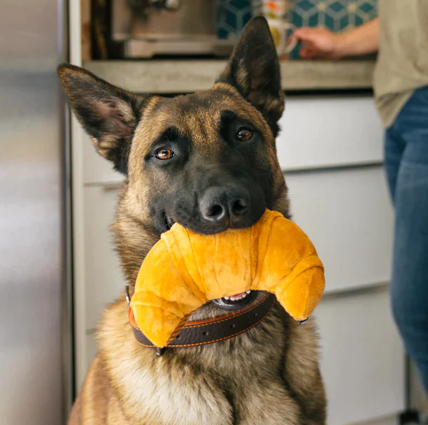 Pup's Pastry