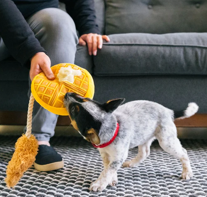 Chicken and Woofles