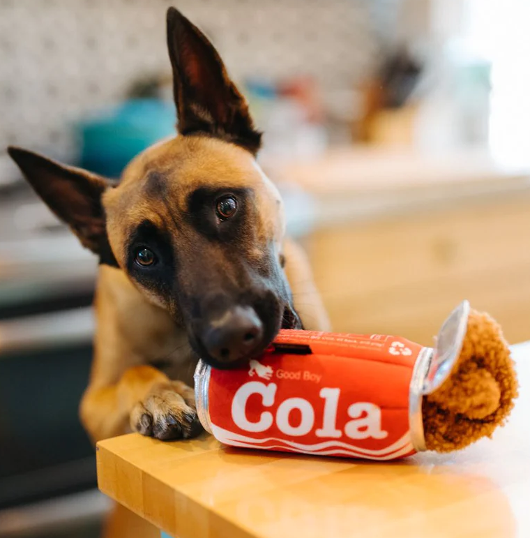 Good Boy Cola