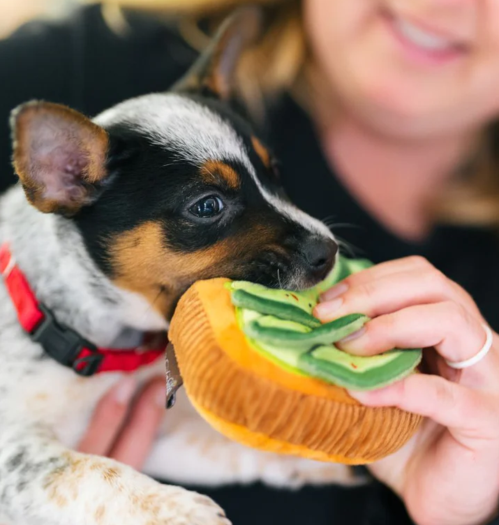 Avo-doggo Toast - Mini