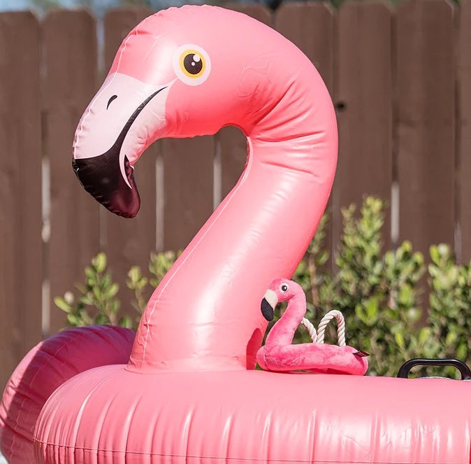 Flamingo Float