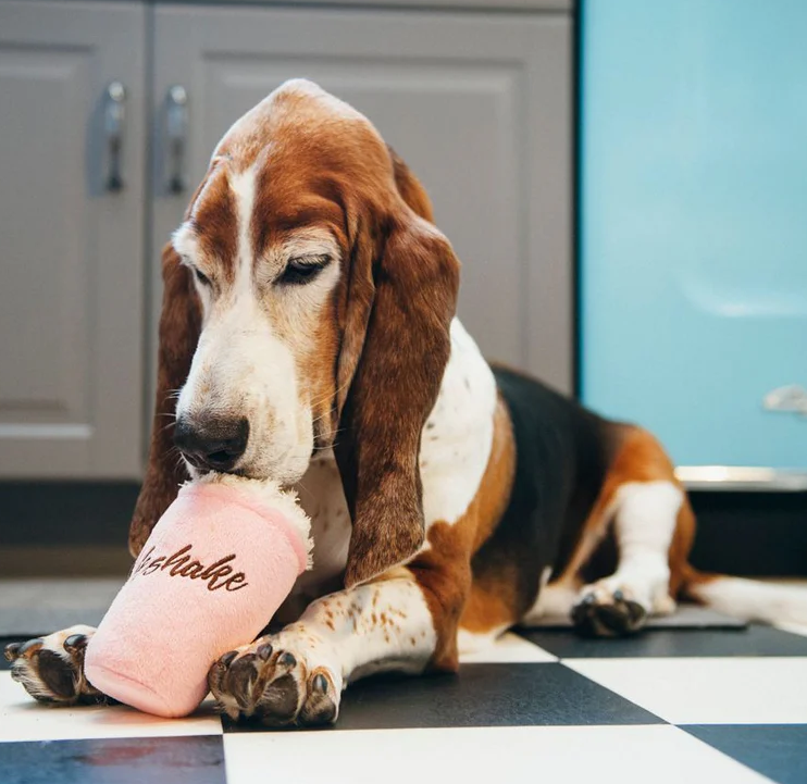 Mutts Milkshake - Mini