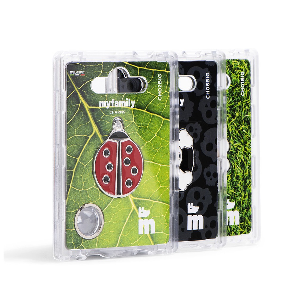 MyFamily Pet Tag: Charms Padlock