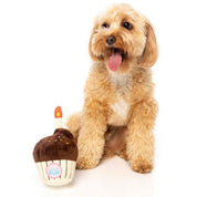 FuzzYard - Birthday Cupcake