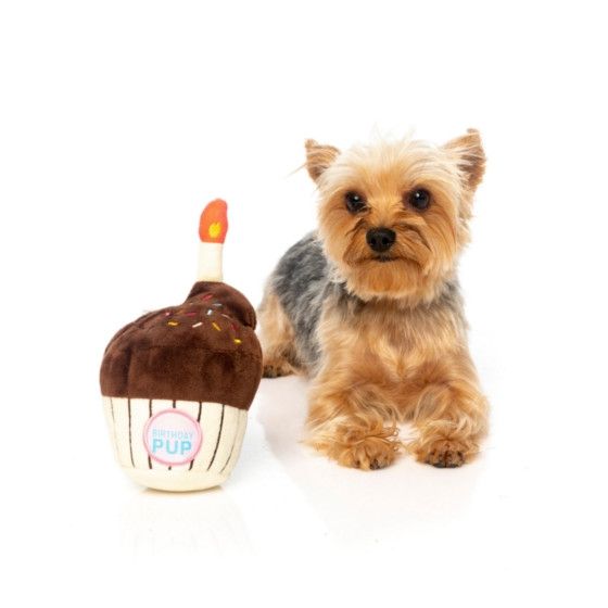 FuzzYard - Birthday Cupcake