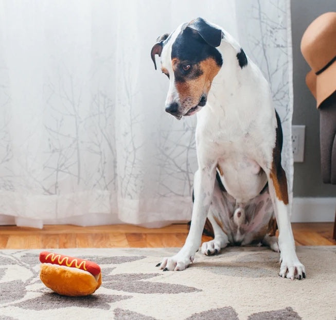 Hot Diggy Dog
