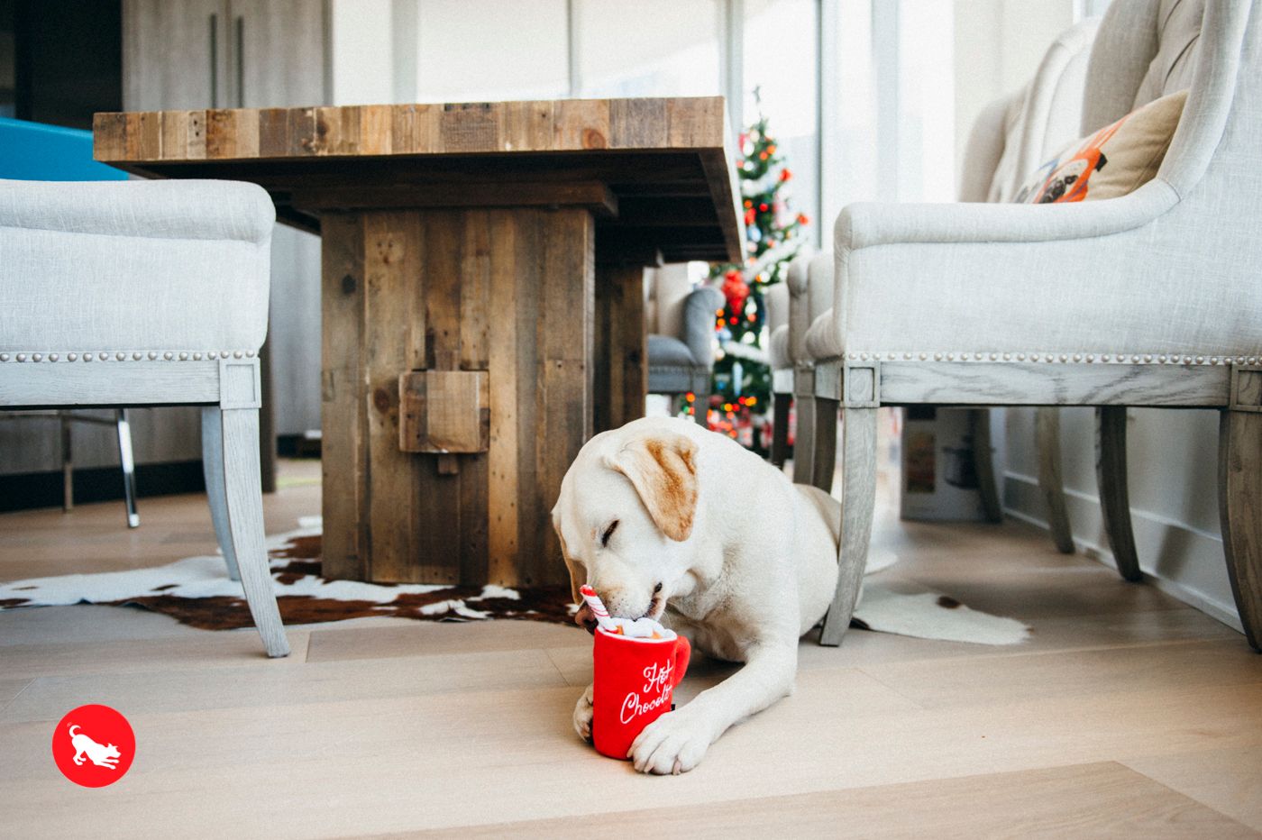 Ho Ho Ho Hot Chocolate
