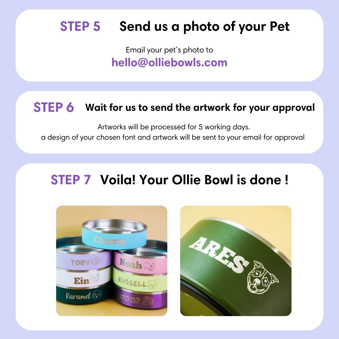 Champagne Pink - Ollie Bowl (32oz)