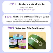 Champagne Pink - Ollie Bowl (32oz)