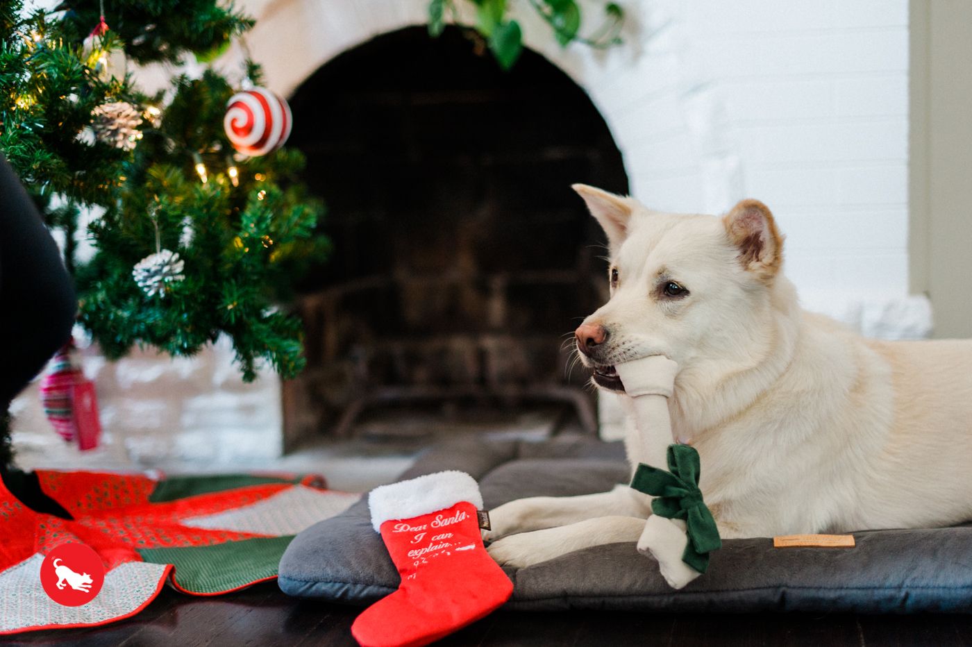 Good Dog Stocking