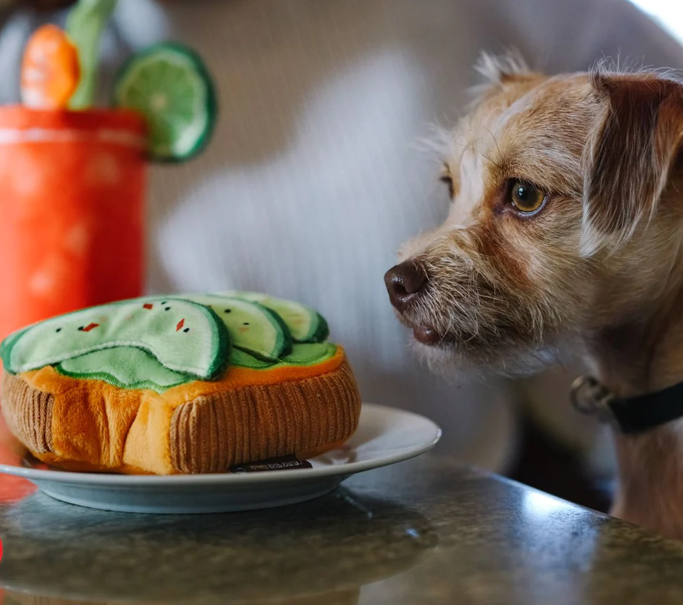 Avo-doggo Toast