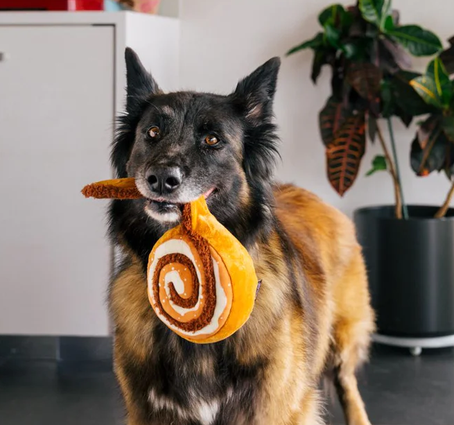 Cinna-bone