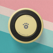 Pastel Yellow - Ollie Bowl (32oz)