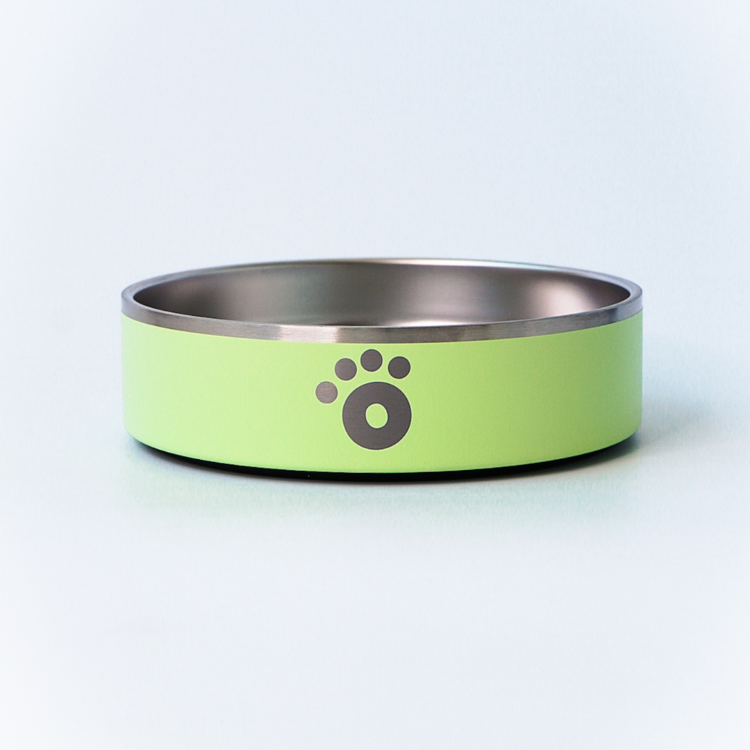 Pastel Green - Ollie Bowl Mini (24oz)