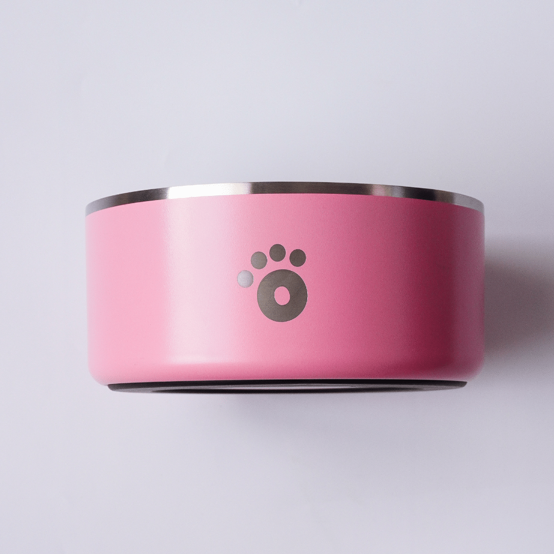 Pink- 64oz bowl