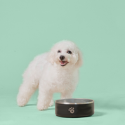 Black - Ollie Bowl (32oz)