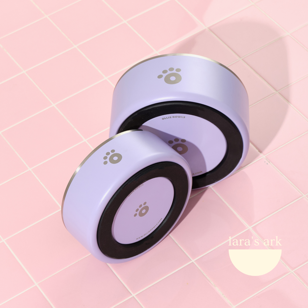 Lilac - Ollie Bowl (64oz)