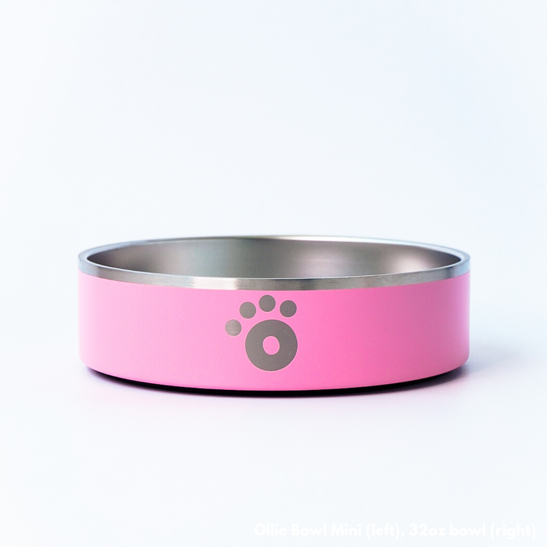 Pink - Ollie Bowl Mini (24oz)