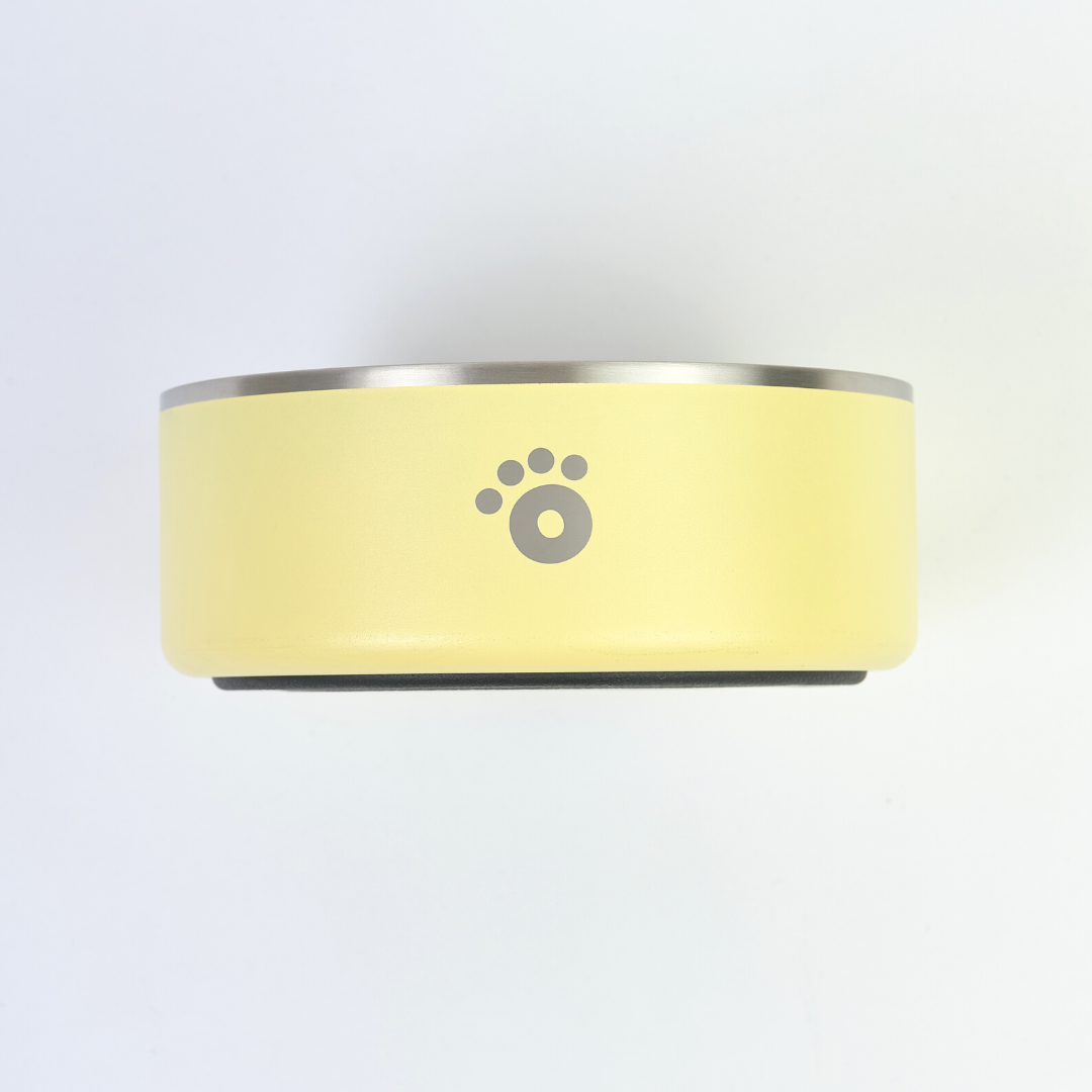 Pastel Yellow - Ollie Bowl (32oz)