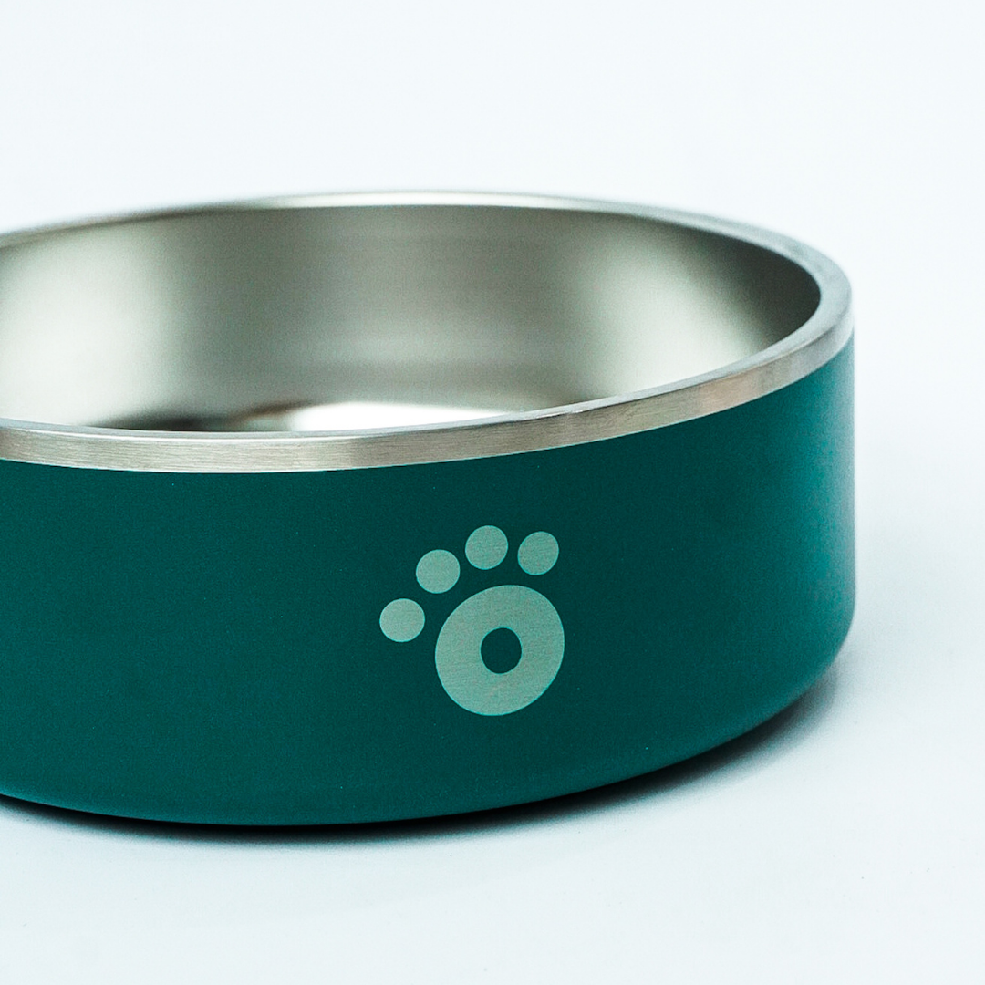 Teal - Ollie Bowl (32oz)