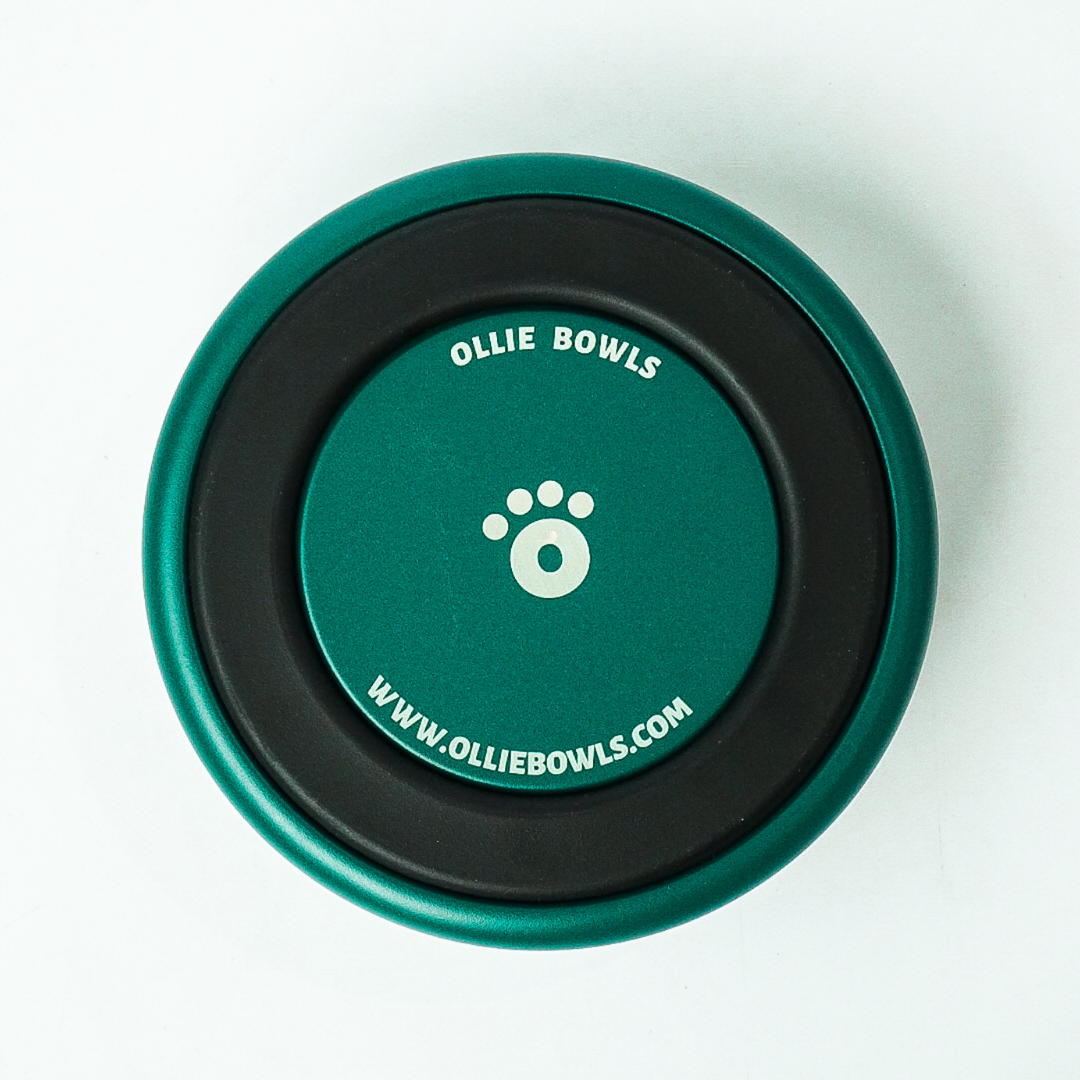 Teal - Ollie Bowl (32oz)