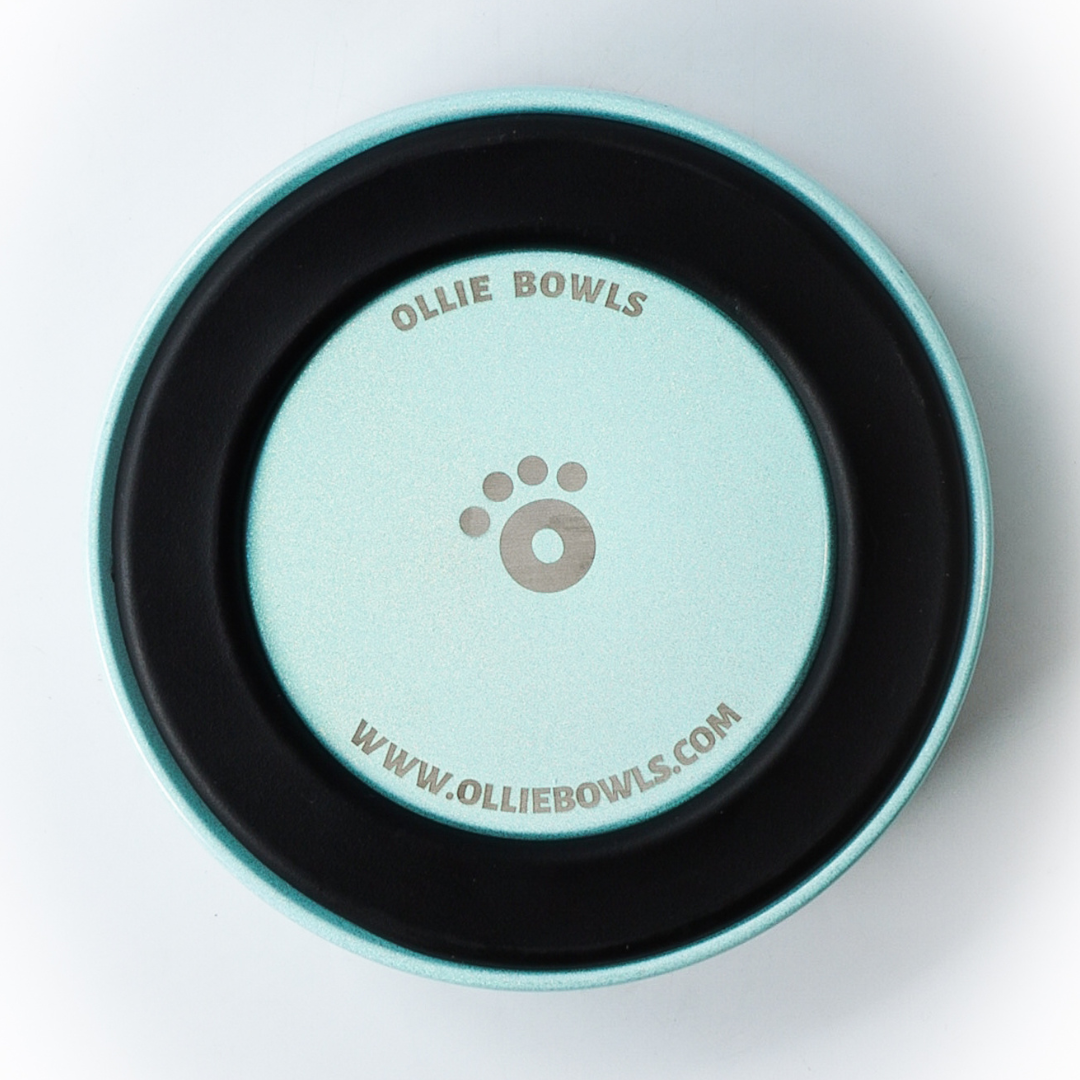 Ice - Ollie Bowl Mini (24oz)